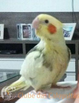 WhatsApp Image 2017-04-06 at 20.55.33.jpg