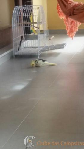 WhatsApp Image 2017-04-18 at 09.40.50 (1).jpeg