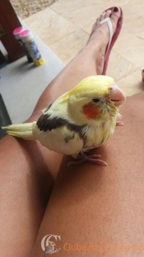 WhatsApp Image 2017-04-18 at 09.40.50.jpeg