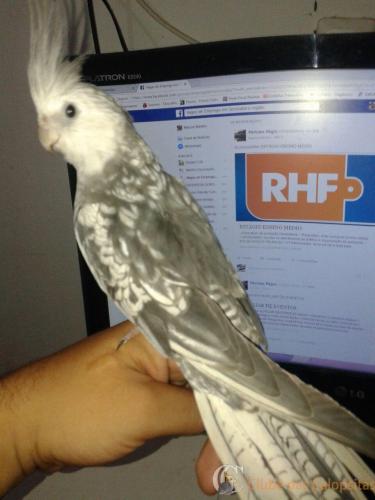 WhatsApp Image 2017-01-23 at 17.49.25.jpeg