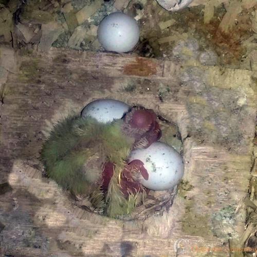 WhatsApp Image 2017-04-23 at 20.47.01.jpeg