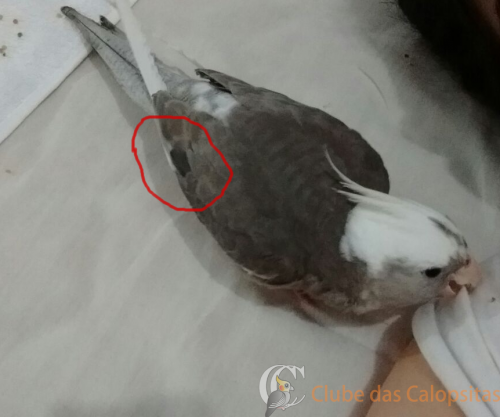 WhatsApp Image 2017-04-25 at 13.11.png