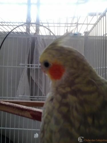 2015-03-29 14.10.55.jpg