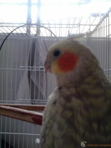 2015-03-29 14.10.59.jpg