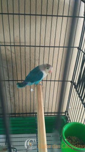 WhatsApp Image 2017-04-29 at 19.43.20.jpeg