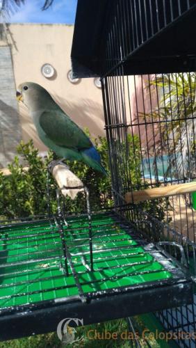 WhatsApp Image 2017-05-01 at 09.40.04.jpeg