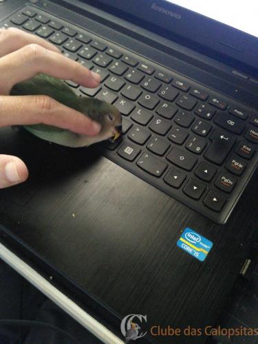 WhatsApp Image 2017-05-01 at 10.53.47.jpeg