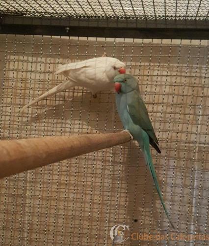 WhatsApp Image 2017-05-04 at 22.03.25 (1).jpeg