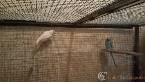 WhatsApp Image 2017-05-04 at 22.03.25 (3).jpeg