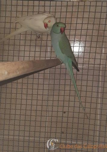 WhatsApp Image 2017-05-04 at 22.03.25.jpeg