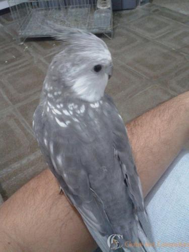 WhatsApp Image 2017-05-06 at 09.59.25.jpeg