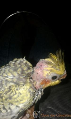 WhatsApp Image 2017-05-11 at 9.45.28 PM.jpeg