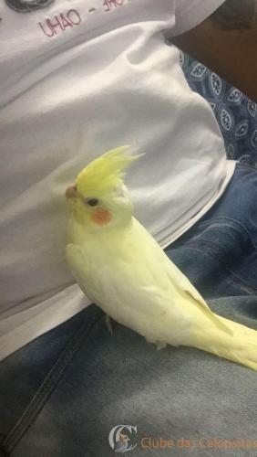 WhatsApp Image 2017-05-17 at 17.09.52.jpeg