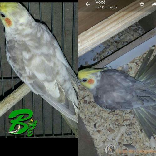 WhatsApp Image 2017-05-24 at 15.49.06.jpeg