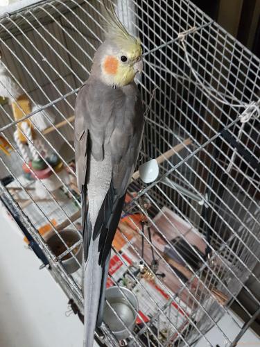20170604_220409.thumb.jpg.32f17827af64c9d1cecb40f43673c47b.jpg