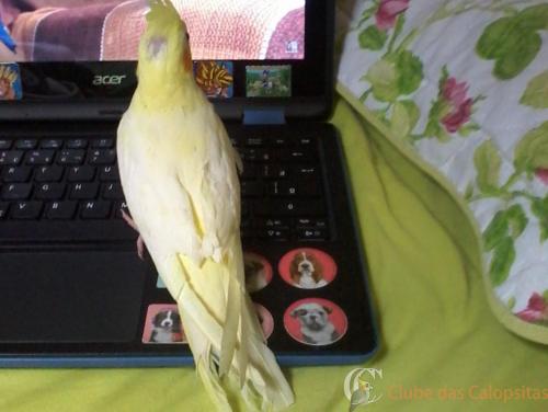 20170213_111231 (2).jpg