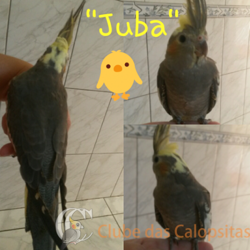 2017-06-22 15.17.30.png