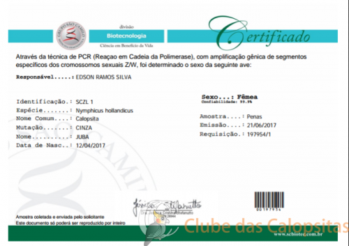 2017-06-22 15.23.56.png