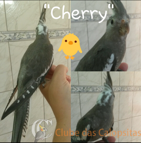 2017-06-22 15.16.16.png