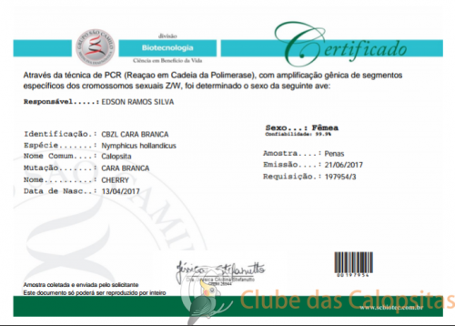 2017-06-22 15.21.34.png