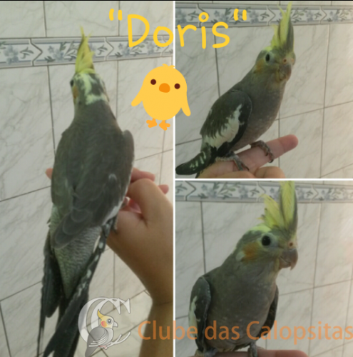 2017-06-22 15.15.08.png