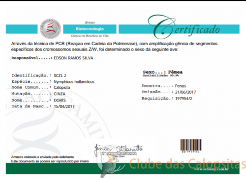 2017-06-22 15.22.58.png