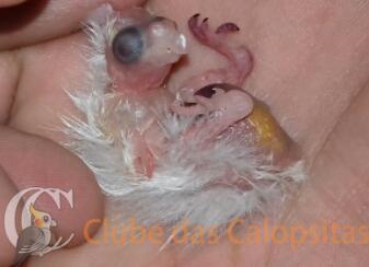 2017-06-24 21.09.18.jpg