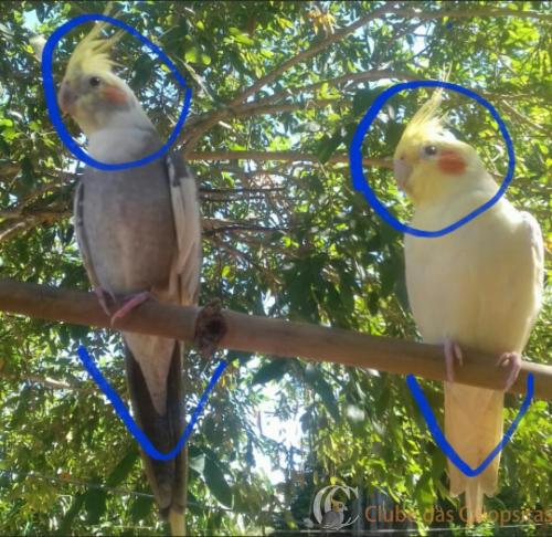 2017-06-26 12.17.36.jpg