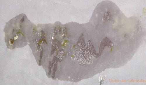 WhatsApp Image 2017-07-06 at 00.46.22.jpeg