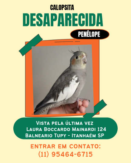 Post para Instagram cachorro desaparecido moderno verde e laranja_20240829_094435_0000.png
